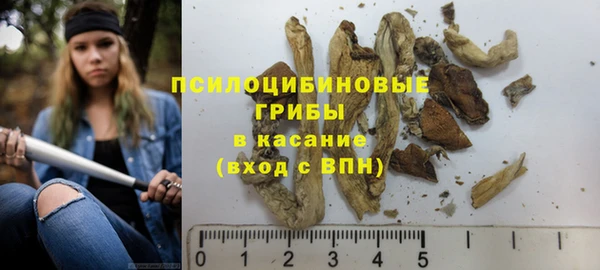 spice Осинники
