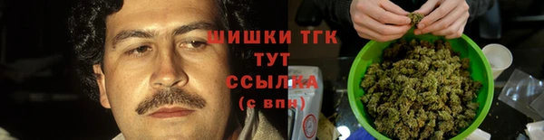 spice Осинники