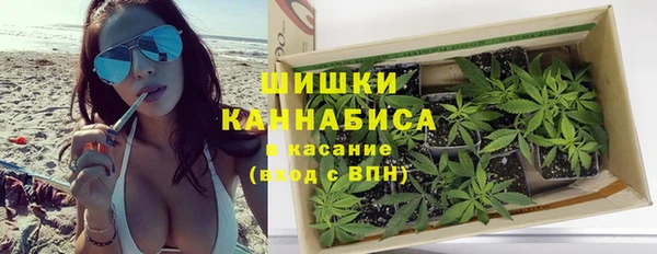 индика Пересвет