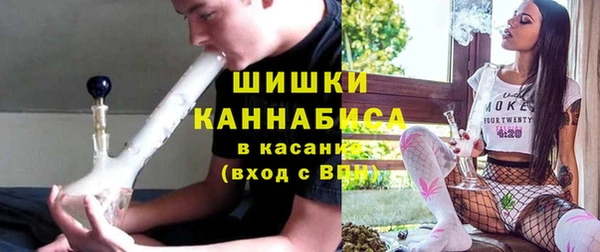 индика Пересвет
