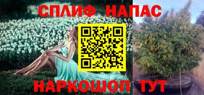 молекула духа Балашиха