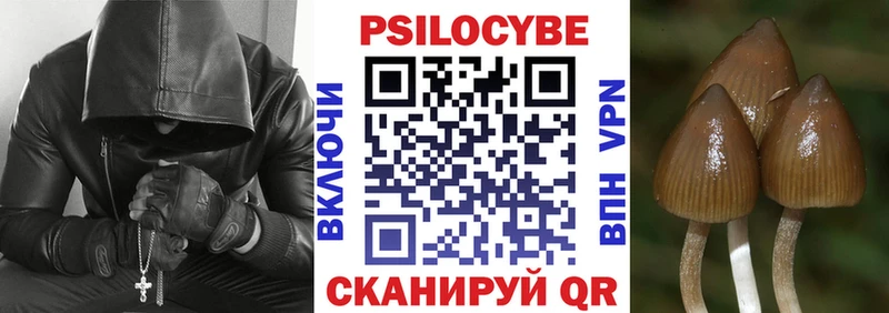цена наркотик  Барабинск  Галлюциногенные грибы мухоморы 